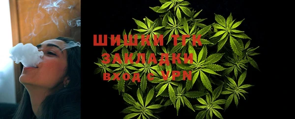 спайс Кизел