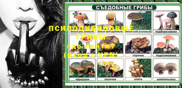 ГАЛЛЮЦИНОГЕННЫЕ ГРИБЫ Красноперекопск