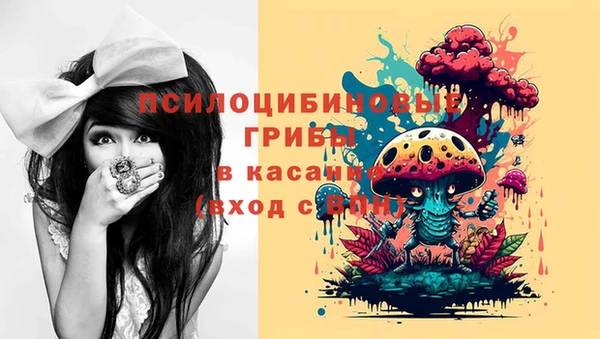 ПСИЛОЦИБИНОВЫЕ ГРИБЫ Краснослободск